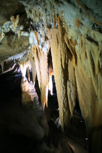 Buchan caves