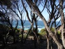 Tathra wandeling