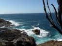 Tathra wandeling