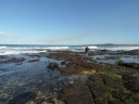 moruya heads