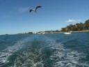 Batemans bay clyde rivercruise