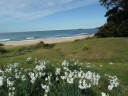 Pebbly beach
