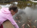 cowra japanse tuin