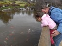 cowra japanse tuin