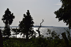 DSC_0009