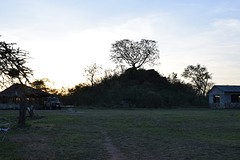 K_DSC_0116