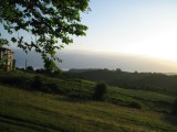 IMG_2506