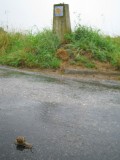 Deze slag gaat de verkeerde kant uit