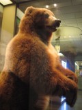 National museum of Natural History, ik moest aan mijn papa denken