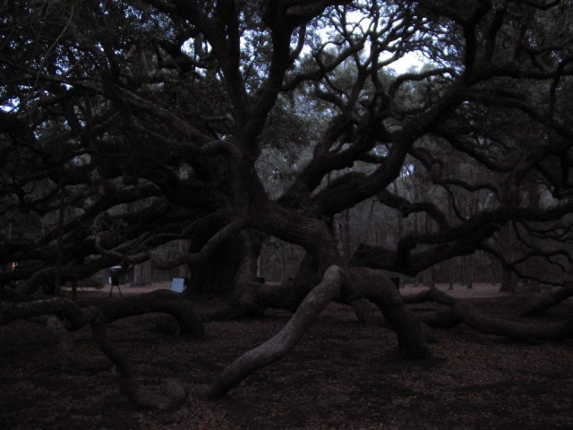 Angel Oak