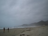 Dauwtrip'n