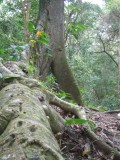 de kracht van de natuur