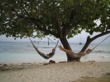 Nog Chillax