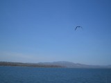 Ferrytripje