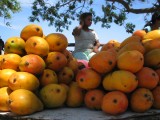 mango's