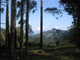 Honduras is zo schoon
