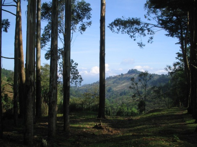 Honduras is zo schoon