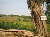 Finca van de Romero's