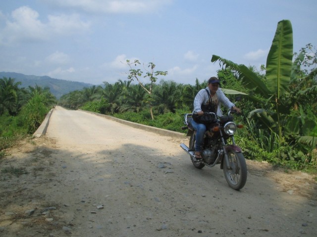 Palmbomendoolhof