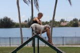 Dogpark