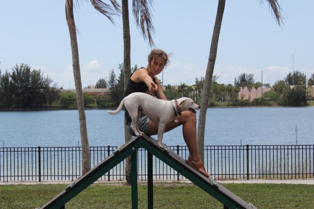 Dogpark