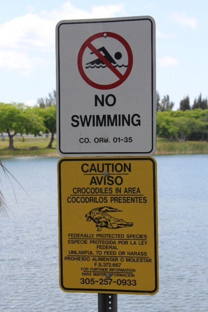 crocodilealarm!