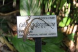 Botanical Garden, South Miami