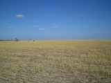 Texas