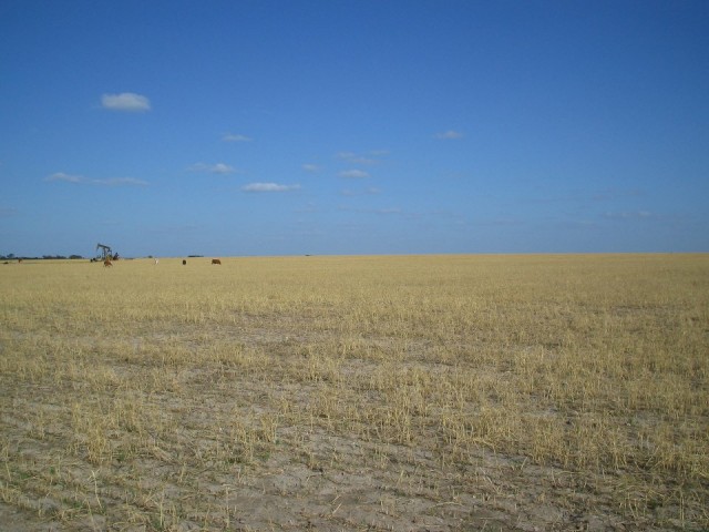 Texas