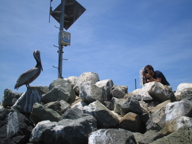 Fotoshoot