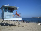 Bay Watch