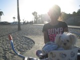 Princess the dog