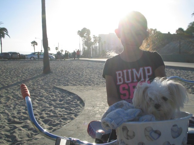 Princess the dog