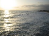 Surfen in Venice beach