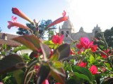 Carmel