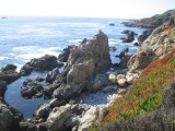 Coastal Highway