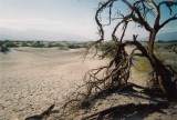 Death Valley