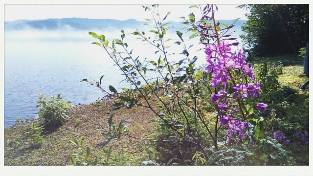 Lac Jaques Cartier