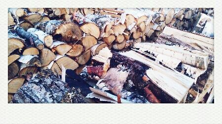 bouleau