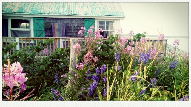 Des fleurs