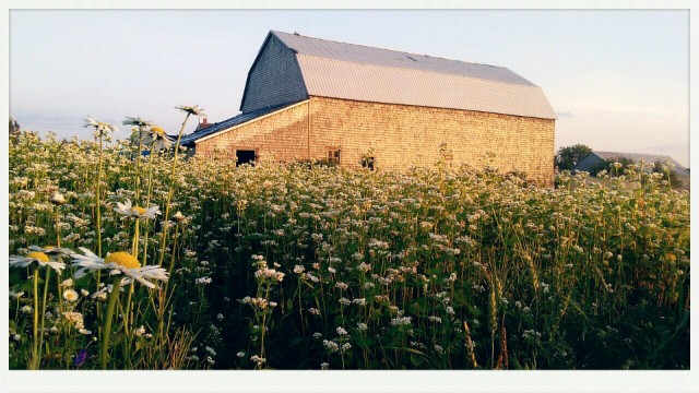 La grange