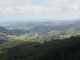 Te Moata