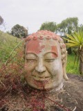 Detoxing at Tony's place, close to Mana Retreat Centre