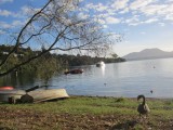 Lake Taupo