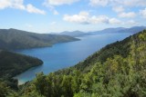 Queen Charlotte Trail