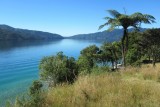 Queen Charlotte Trail