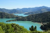 Queen Charlotte Trail