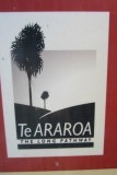 Te Araroa or also known as The Long Pathway