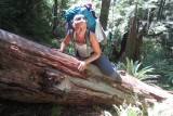 obstacles on the trek; Pelorus River Trek