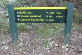 Pelorus River Trek